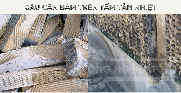 Ảnh: Cáu cặn bám trên tấm tản nhiệt cooling tower